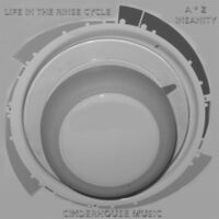 Life in the Rinse Cycle (A * Z Insanity)